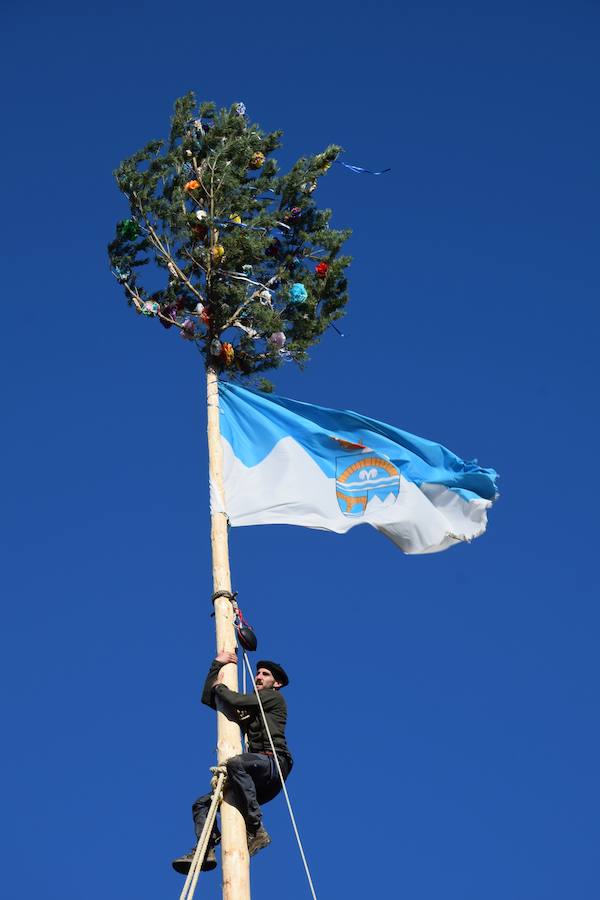 Fotos: Pinada del Mayo en Velilla del Río Carrión