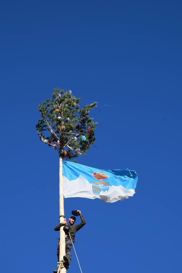 Fotos: Pinada del Mayo en Velilla del Río Carrión