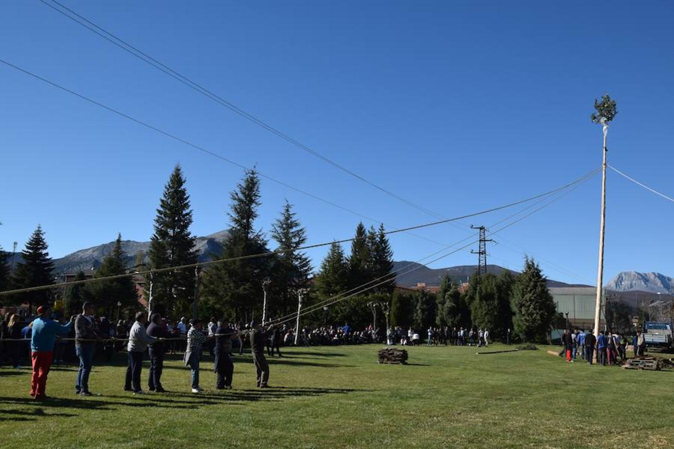 Fotos: Pinada del Mayo en Velilla del Río Carrión