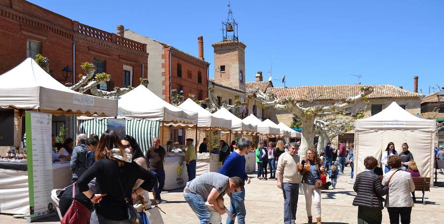 Fotos: Astudillo disfruta de la fiesta de Torre Marte