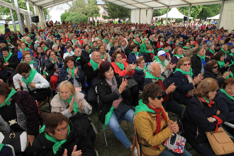 Fotos: Encuentro de participantes en las aulas de manualidades de la Diputación de Segovia.