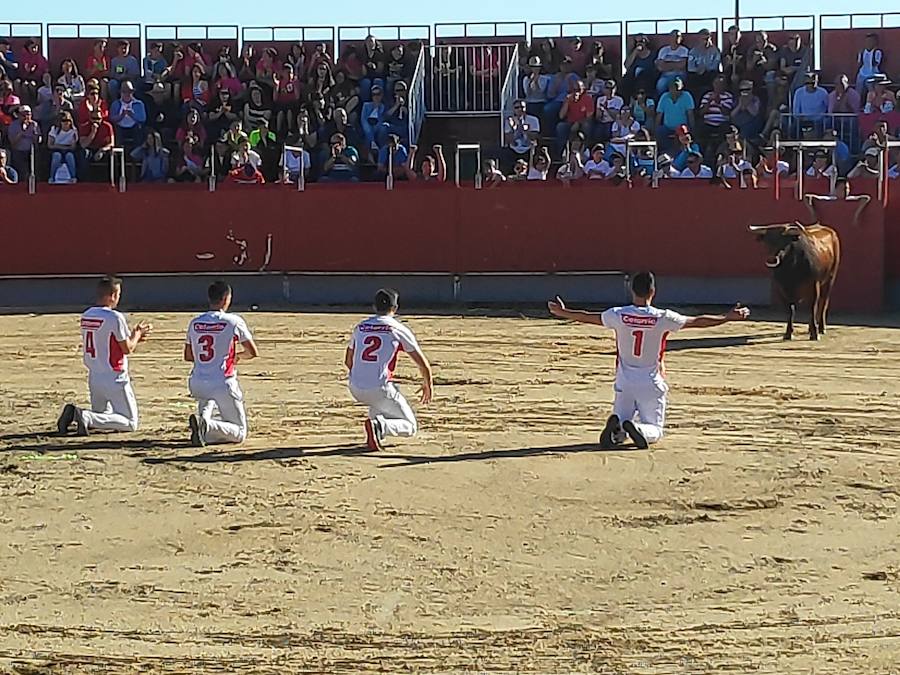 Fotos: Liga de Corte Puro en Valdestillas