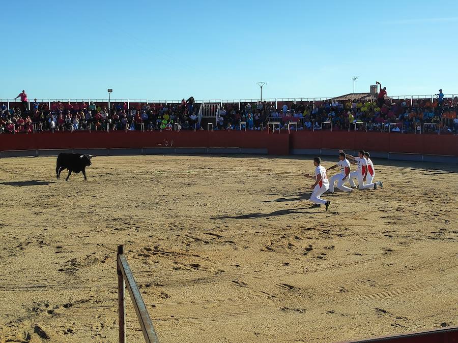 Fotos: Liga de Corte Puro en Valdestillas