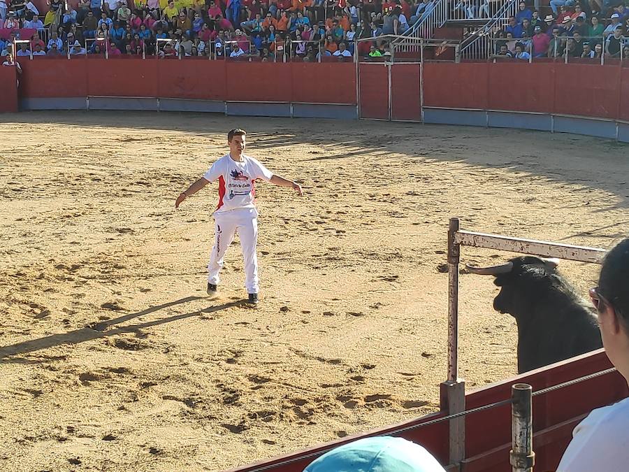 Fotos: Liga de Corte Puro en Valdestillas