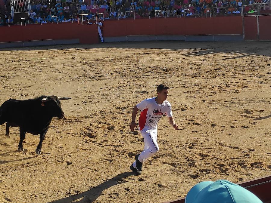 Fotos: Liga de Corte Puro en Valdestillas