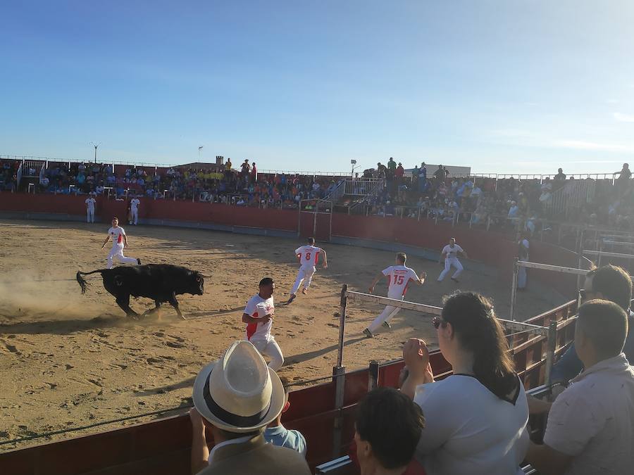 Fotos: Liga de Corte Puro en Valdestillas