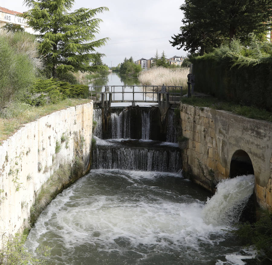 Fotos: Palencia se entrega a la marcha Aspanis