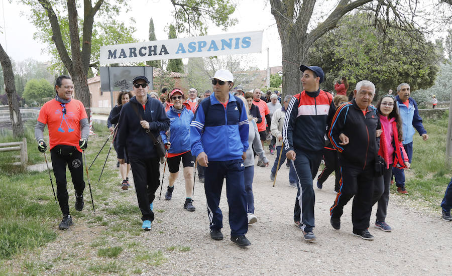 Fotos: Palencia se entrega a la marcha Aspanis