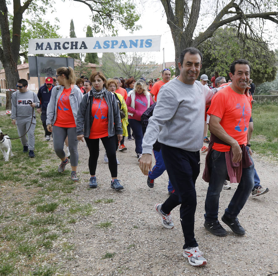 Fotos: Palencia se entrega a la marcha Aspanis