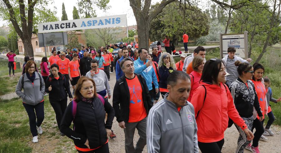 Fotos: Palencia se entrega a la marcha Aspanis