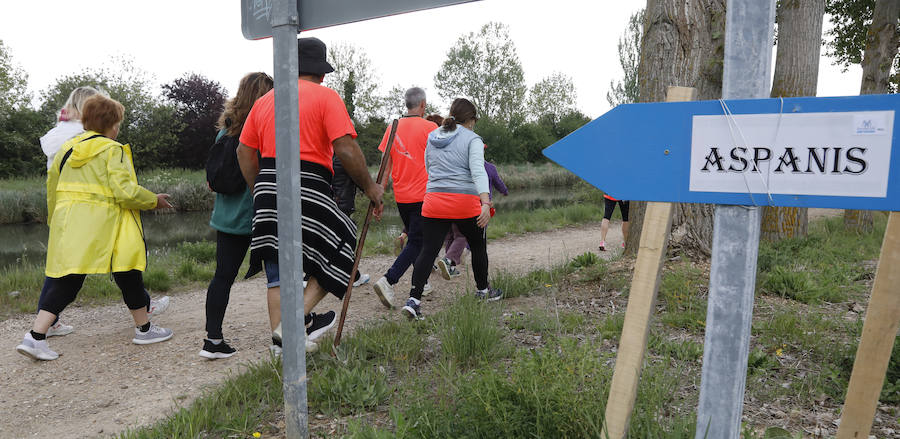 Fotos: Palencia se entrega a la marcha Aspanis