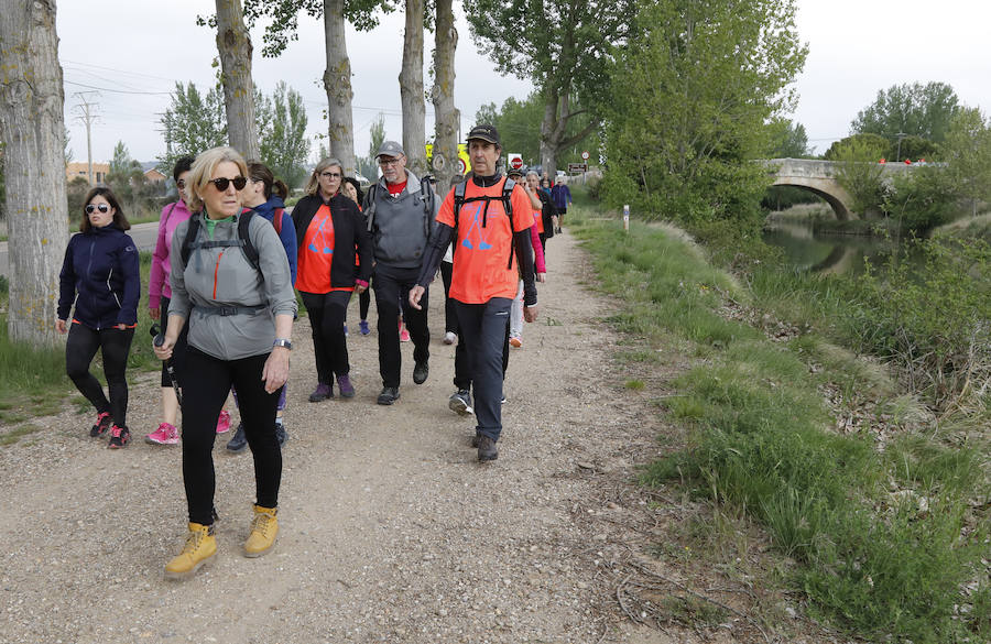 Fotos: Palencia se entrega a la marcha Aspanis