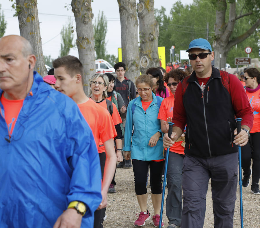 Fotos: Palencia se entrega a la marcha Aspanis