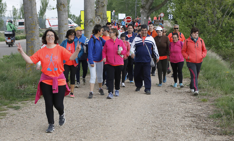Fotos: Palencia se entrega a la marcha Aspanis