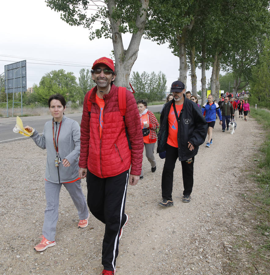 Fotos: Palencia se entrega a la marcha Aspanis