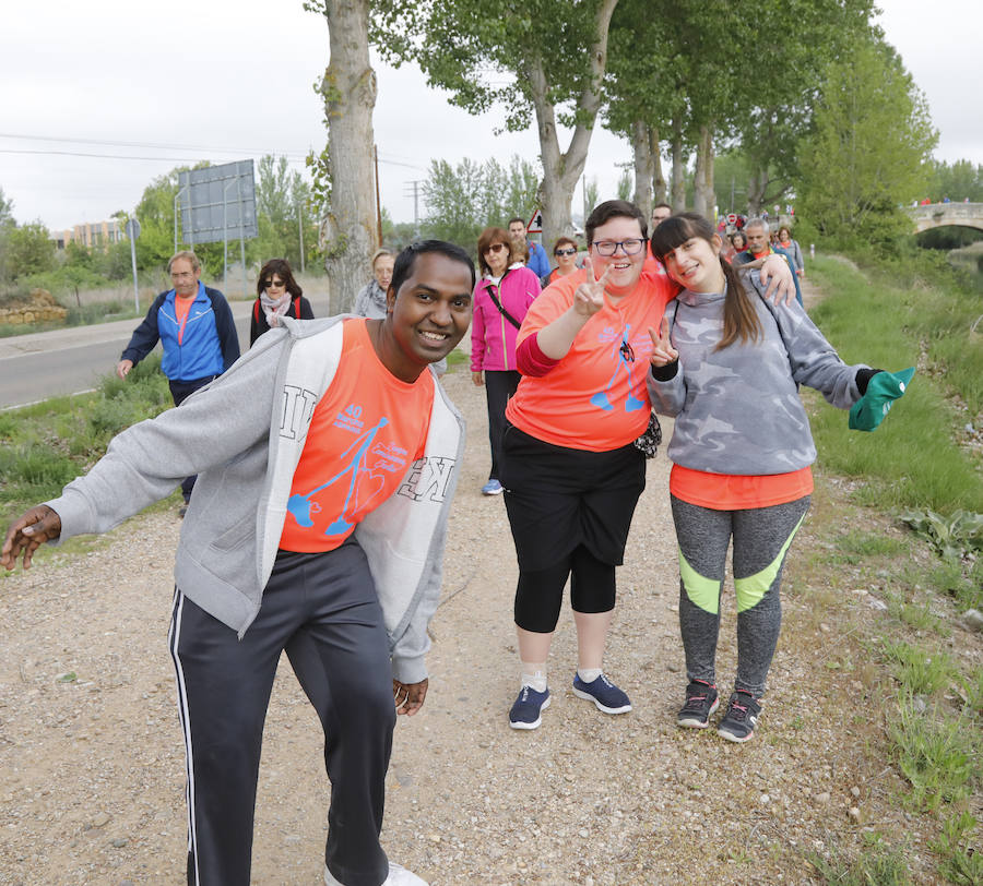 Fotos: Palencia se entrega a la marcha Aspanis