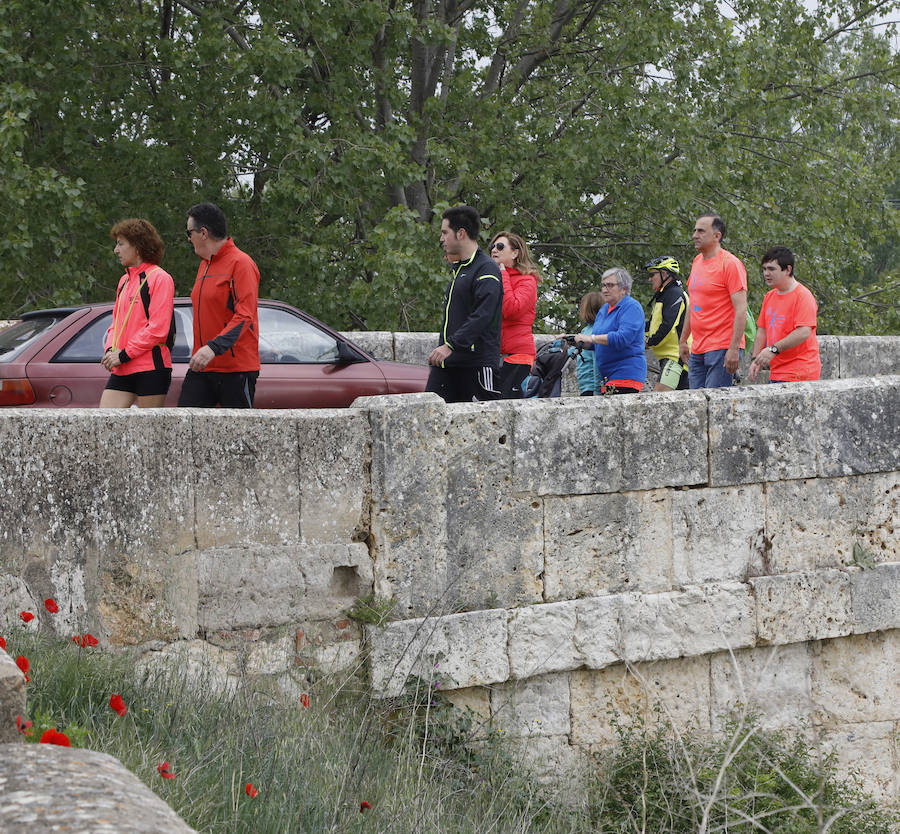 Fotos: Palencia se entrega a la marcha Aspanis