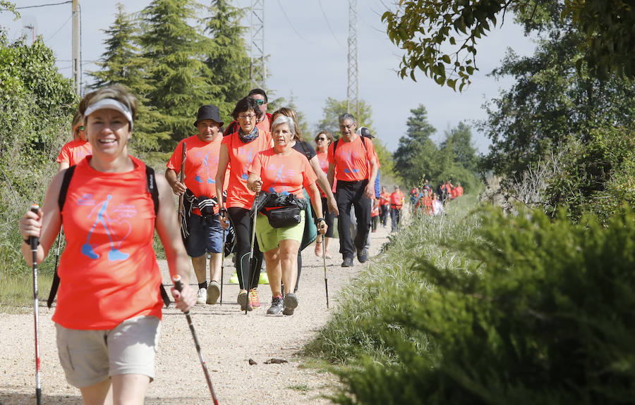 Fotos: Palencia se entrega a la marcha Aspanis