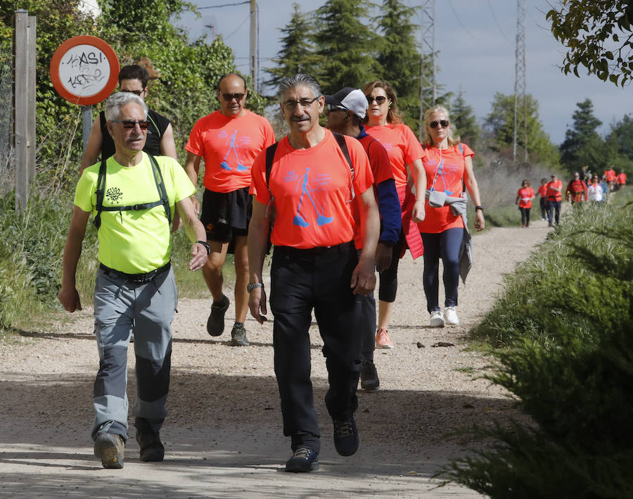 Fotos: Palencia se entrega a la marcha Aspanis