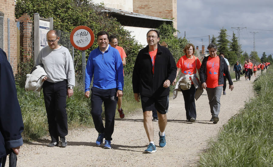 Fotos: Palencia se entrega a la marcha Aspanis