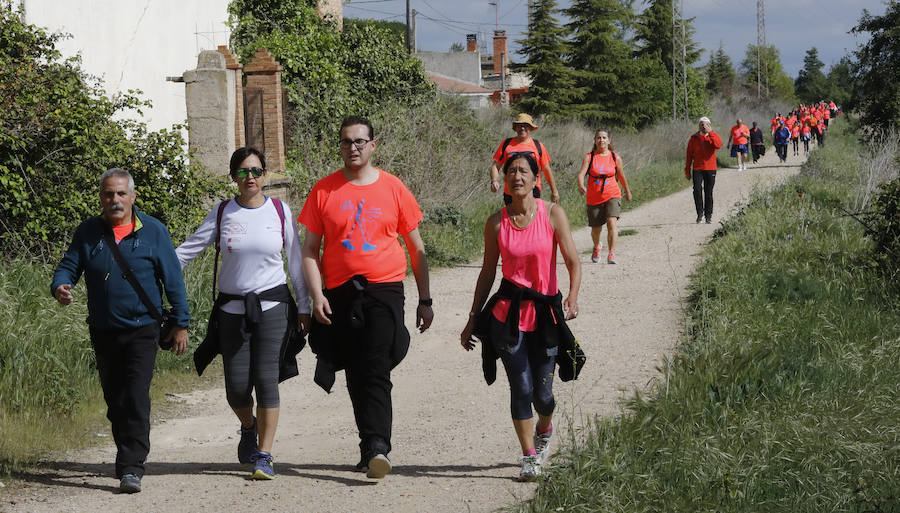 Fotos: Palencia se entrega a la marcha Aspanis