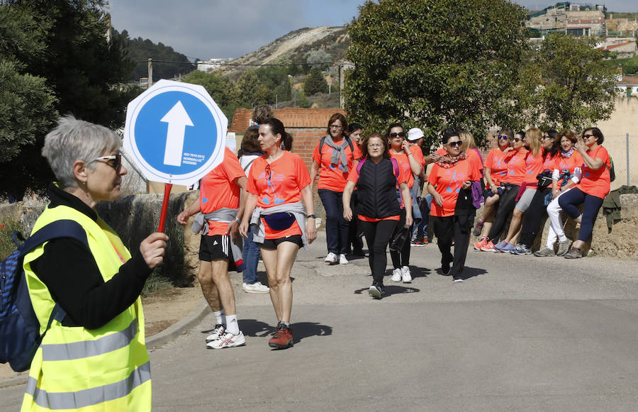 Fotos: Palencia se entrega a la marcha Aspanis