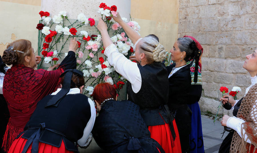 Fotos: Pasacalles y ofrenda floral a San Pedro Regalado