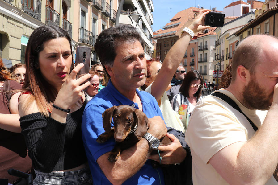Fiesta de la Alegría de la Iglesia de las Angustias