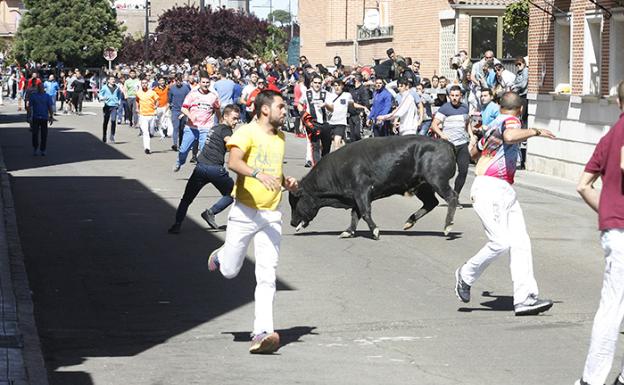 Varios jóvenes corren el encierro en Laguna de Duero. 