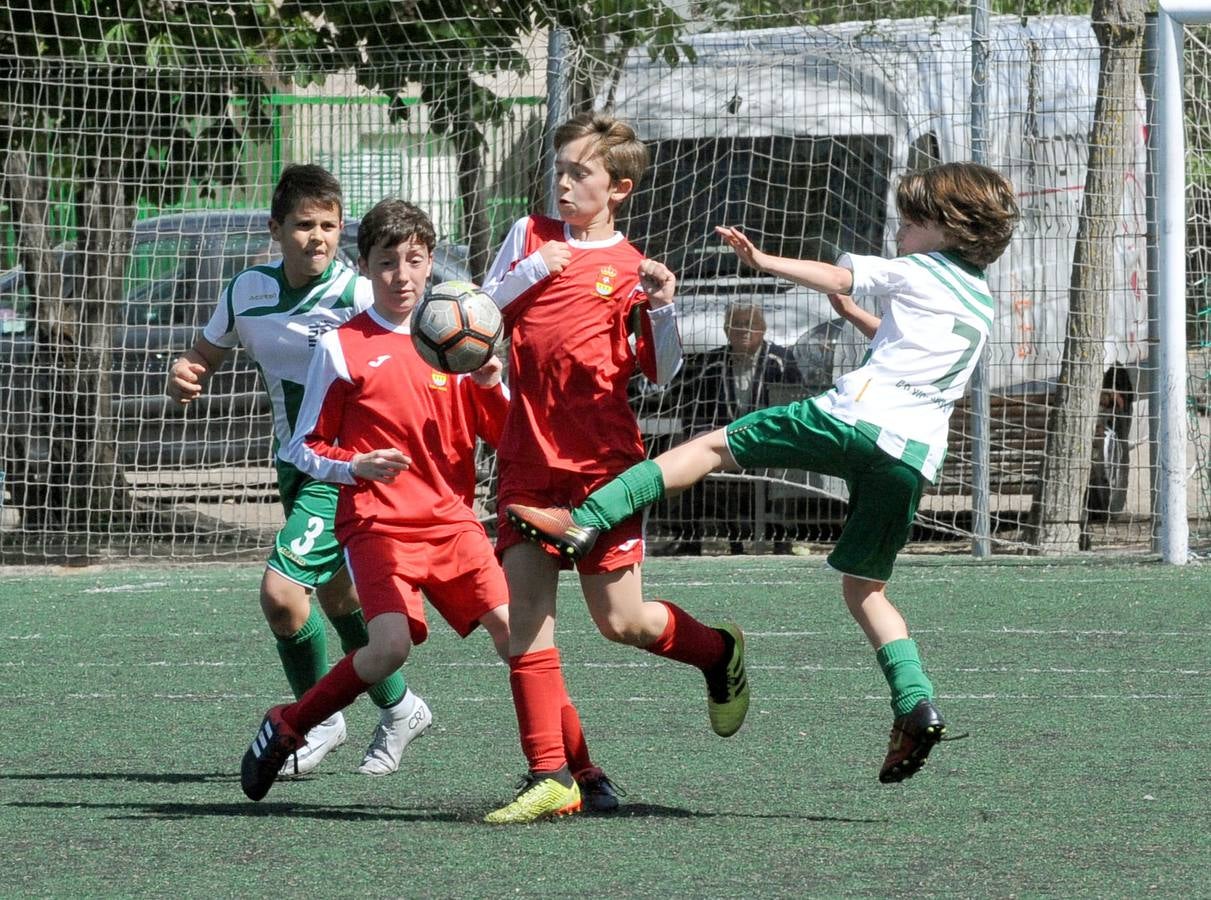 Fotos: Deporte Base del 11 y 12 de mayo. Valladolid