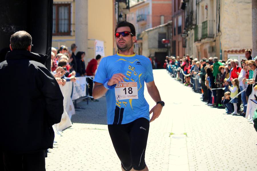Fotos: El Cerrato vibra con su Media Maratón