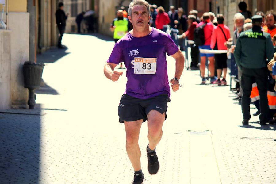 Fotos: El Cerrato vibra con su Media Maratón