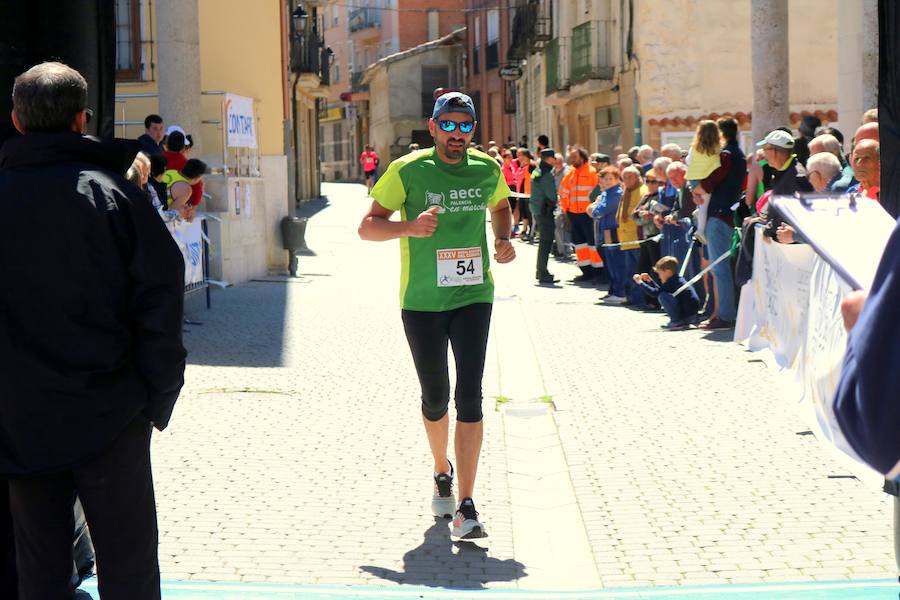 Fotos: El Cerrato vibra con su Media Maratón