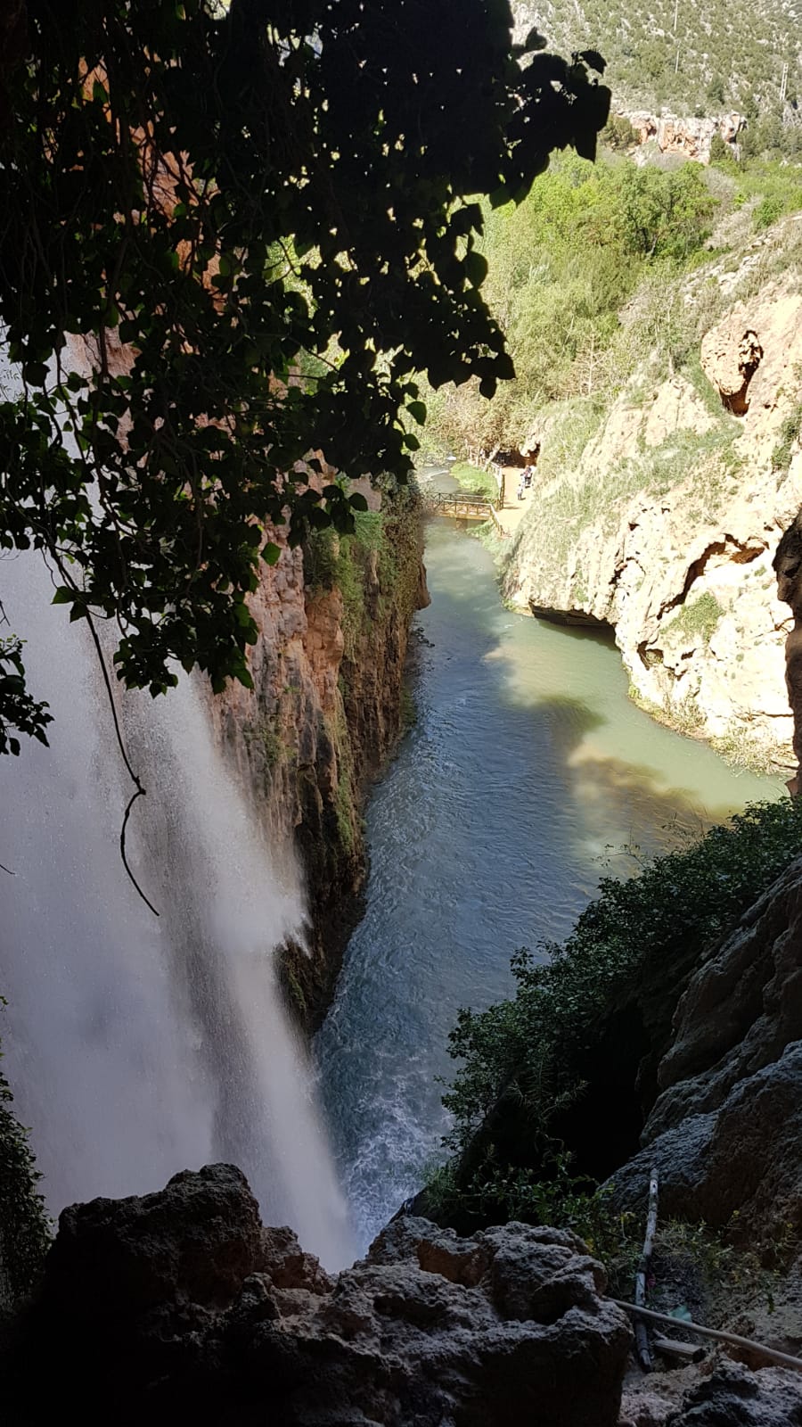 El Monasterio de Piedra atesora un monasterio cisterciense del siglo XIII y un espectacular jJardín histórico del siglo XIX, con innumerables cascadas.