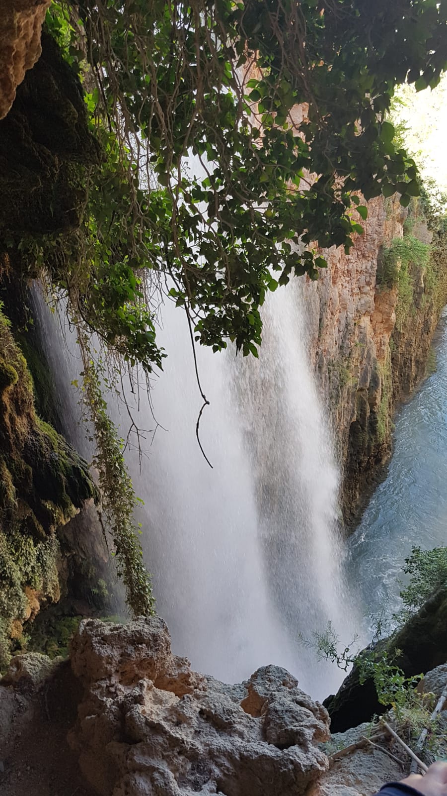 El Monasterio de Piedra atesora un monasterio cisterciense del siglo XIII y un espectacular jJardín histórico del siglo XIX, con innumerables cascadas.