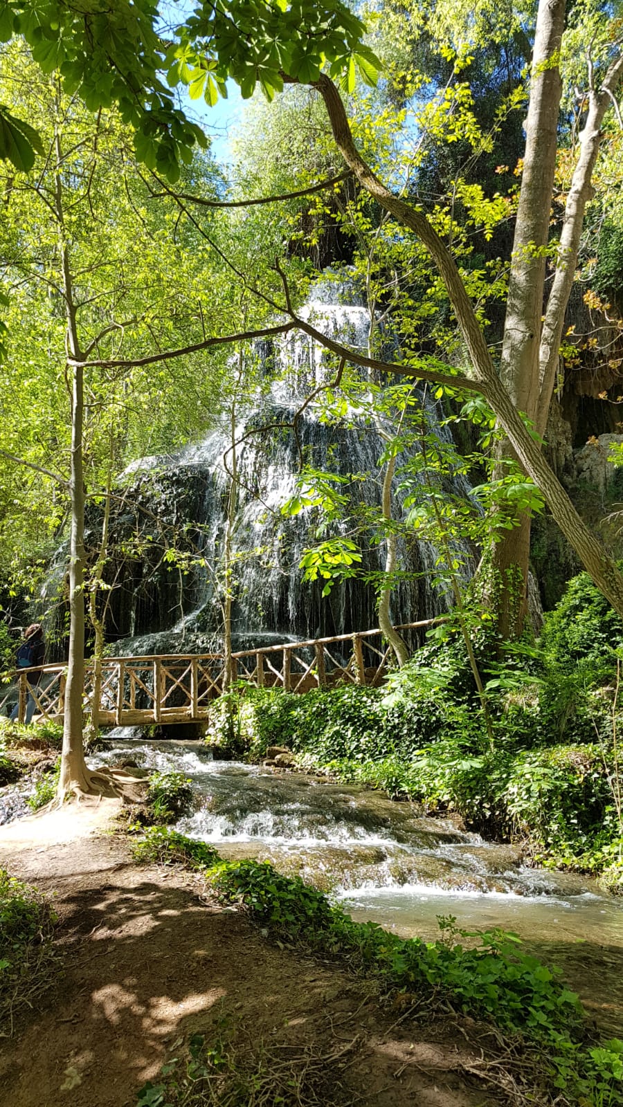 El Monasterio de Piedra atesora un monasterio cisterciense del siglo XIII y un espectacular jJardín histórico del siglo XIX, con innumerables cascadas.