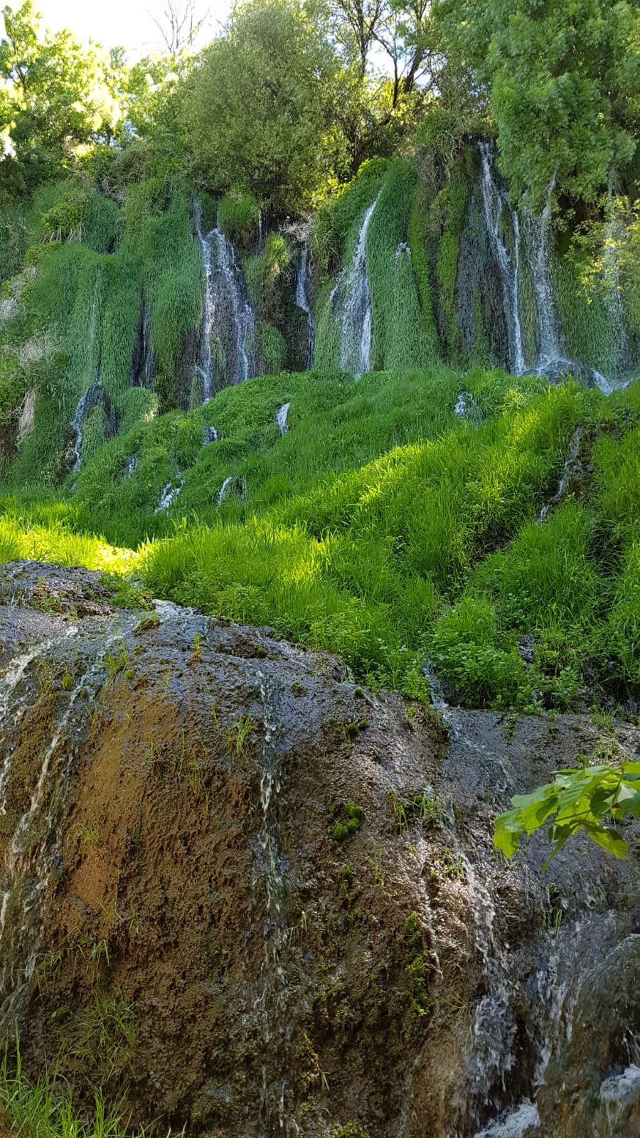 El Monasterio de Piedra atesora un monasterio cisterciense del siglo XIII y un espectacular jJardín histórico del siglo XIX, con innumerables cascadas.