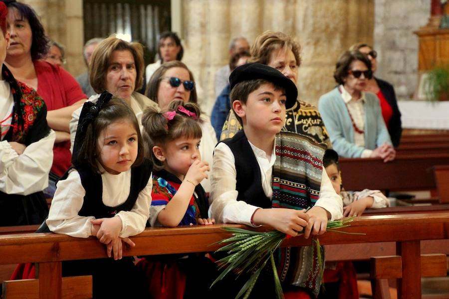 Fotos: San Isidro se celebra en Torquemada