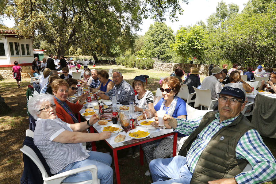 Fotos: Las aulas de mayores de Palencia clausuran el curso con una comida popular