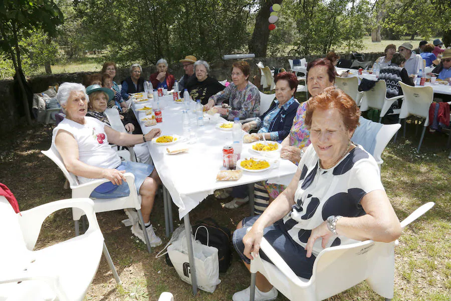 Fotos: Las aulas de mayores de Palencia clausuran el curso con una comida popular