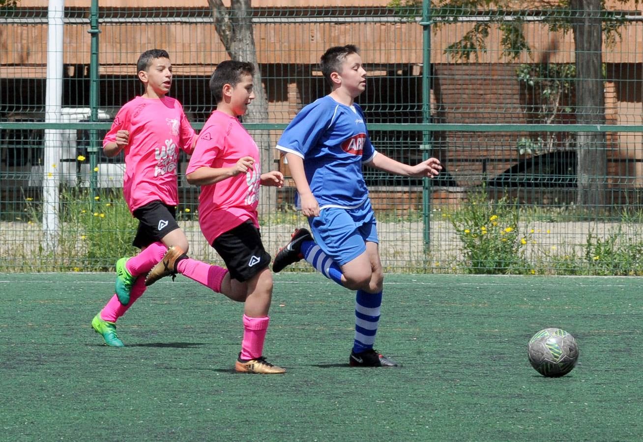 Fotos: Deporte Base del 18 y 19 de mayo. Valladolid