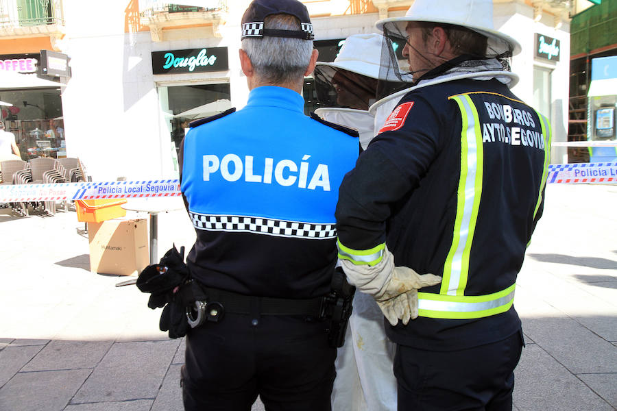 Fotos: Los bomberos retiran un ejambre de abejas posado bajo una mesa de terraza de la avenida del Acueducto.