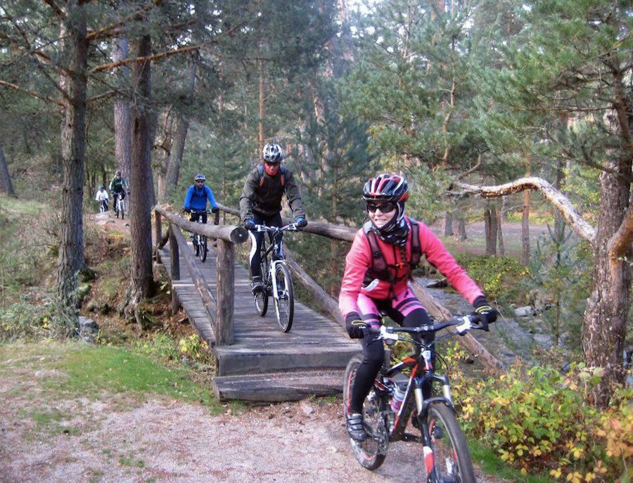 Un grupo de ciclistas, por el Parque Nacional Sierra de Guadarrama.