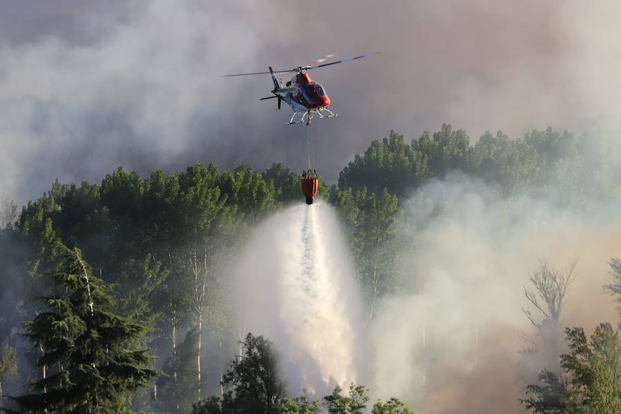 Fotos: Incendio junto a la piscifactoría de Cabrerizos, en Salamanca