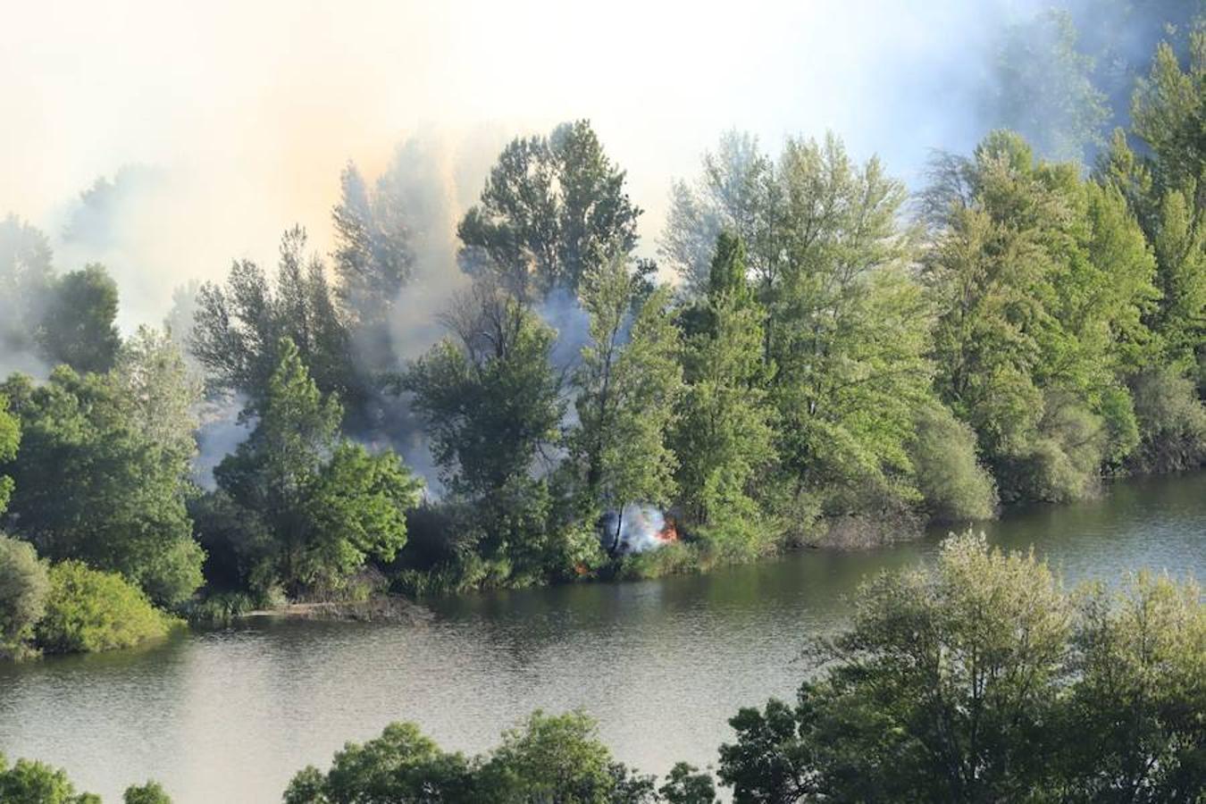 Fotos: Incendio junto a la piscifactoría de Cabrerizos, en Salamanca