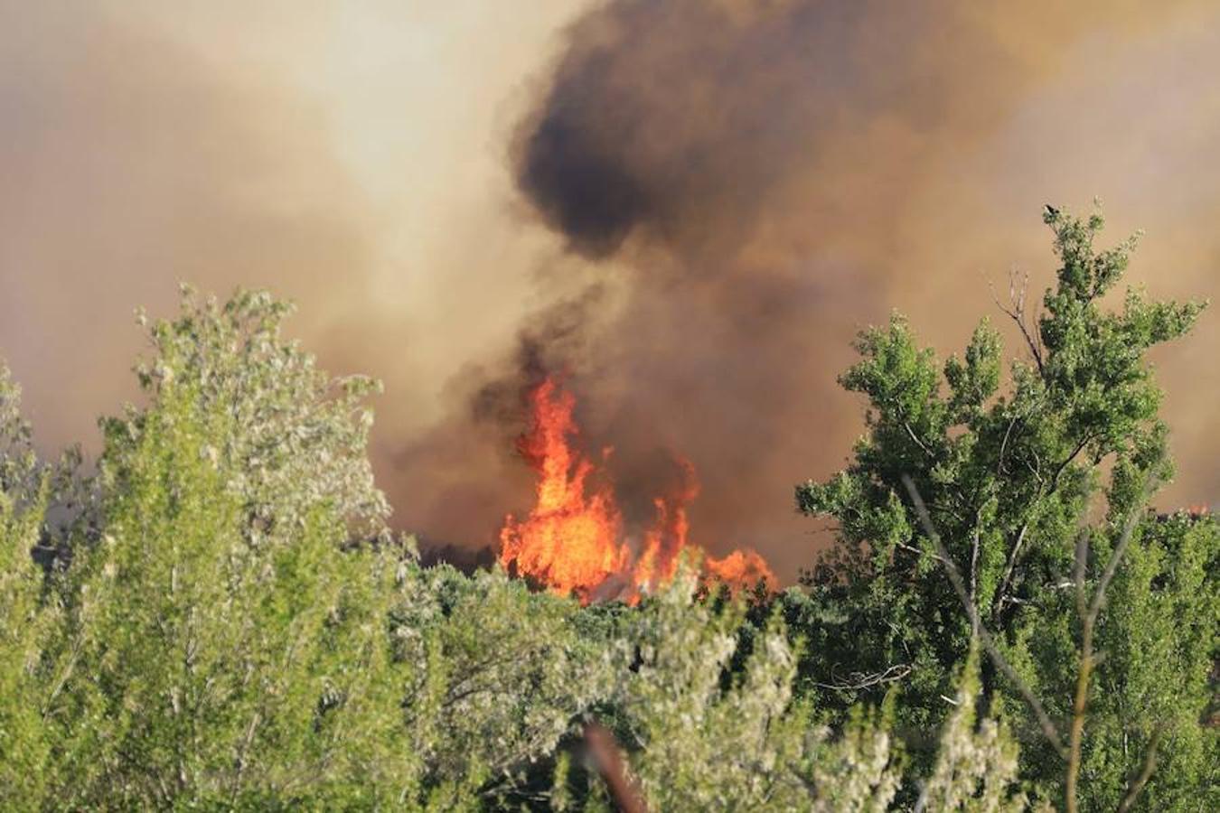 Fotos: Incendio junto a la piscifactoría de Cabrerizos, en Salamanca