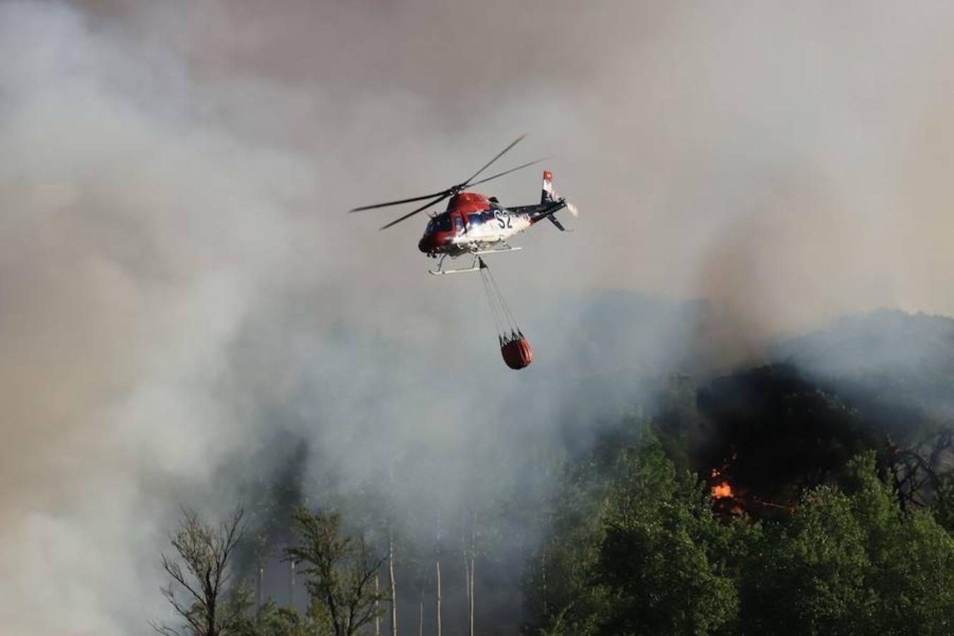 Fotos: Incendio junto a la piscifactoría de Cabrerizos, en Salamanca