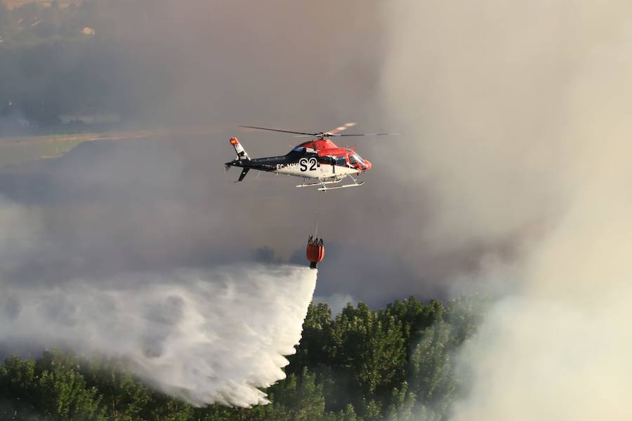 Fotos: Incendio junto a la piscifactoría de Cabrerizos, en Salamanca