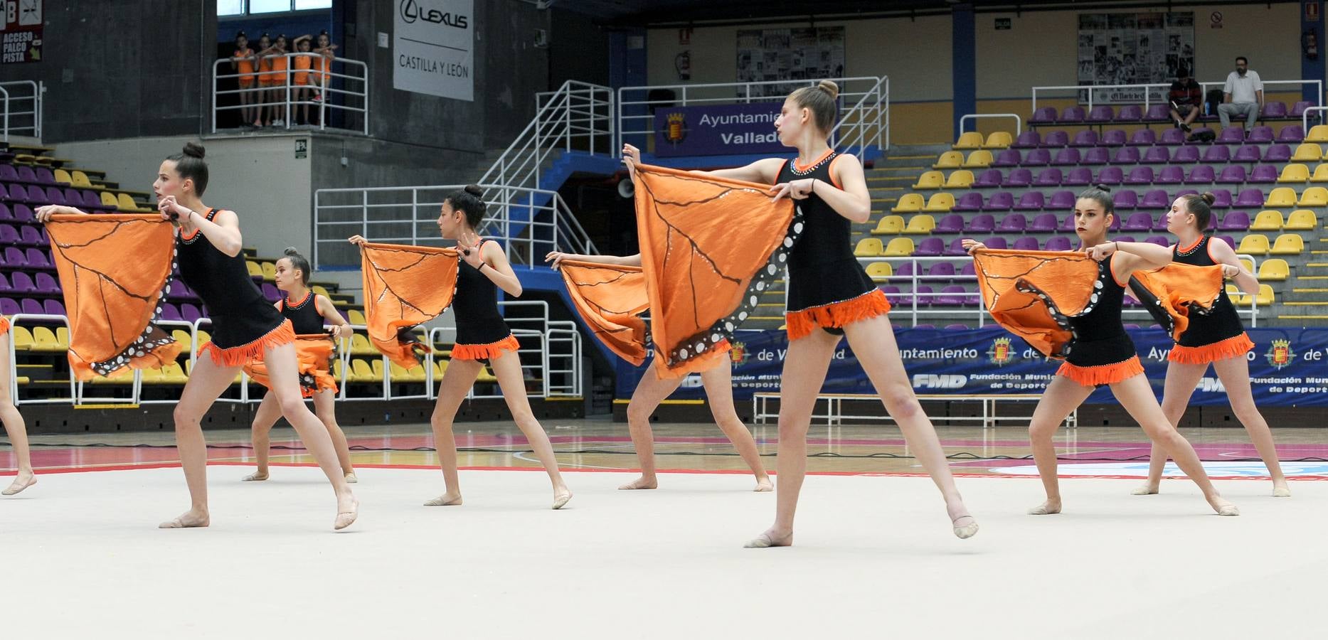 Fotos: Deporte Base del 25 y 26 de Mayo. Valladolid (2/3)