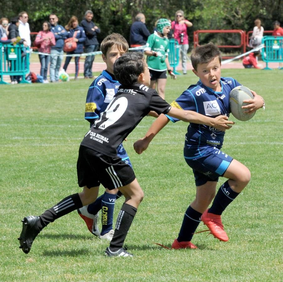 Fotos: Deporte Base del 25 y 26 de Mayo. Valladolid (2/3)